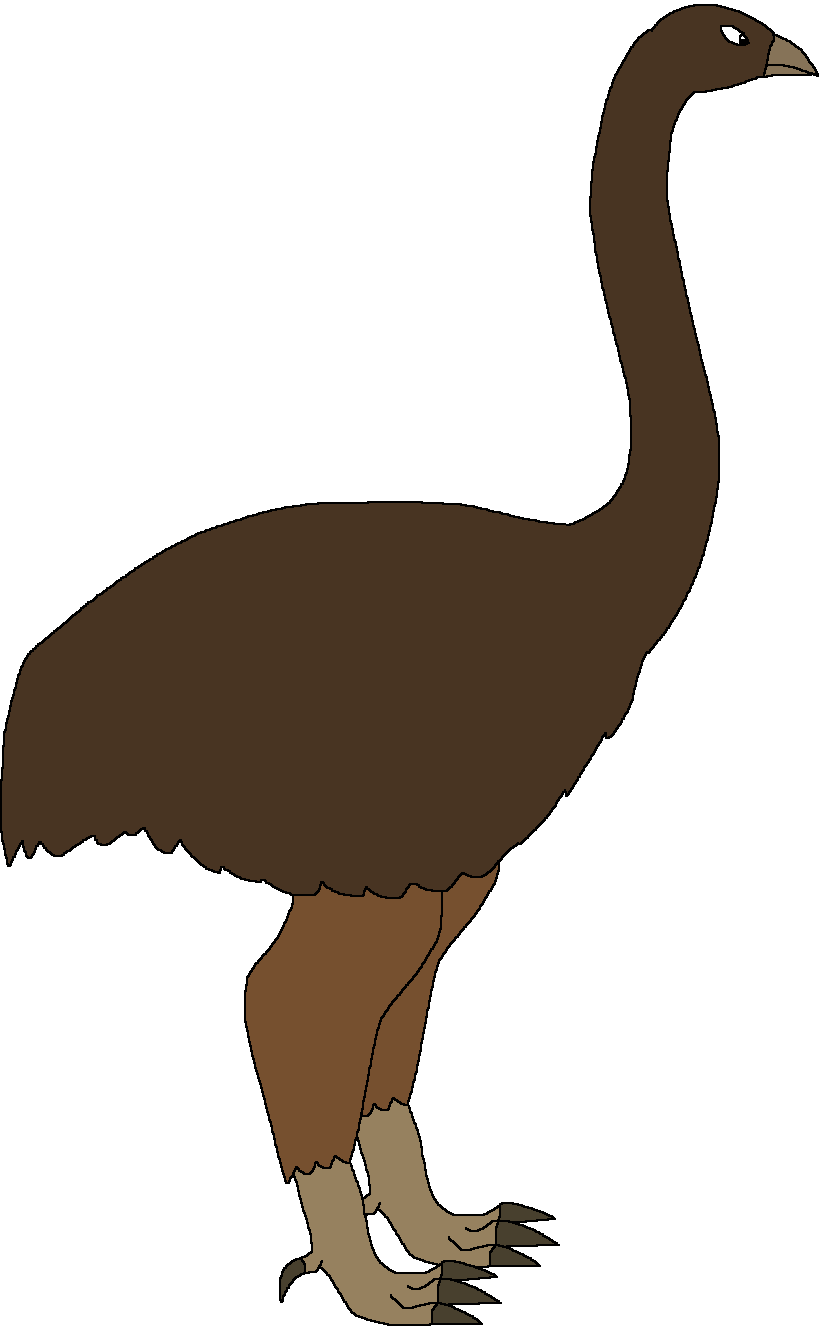 Female Dinornis (Paleoverse + EOIverse) Blank Meme Template