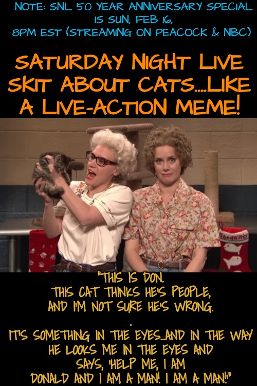 SNL Cat Skit...SNL, The Original Memes (but live-action) | NOTE: SNL 50 YEAR ANNIVERSARY SPECIAL
 IS SUN, FEB 16, 8PM EST (STREAMING ON PEACOCK & NBC); SATURDAY NIGHT LIVE
SKIT ABOUT CATS....LIKE A LIVE-ACTION MEME! "THIS IS DON.
THIS CAT THINKS HE'S PEOPLE, AND I'M NOT SURE HE'S WRONG.
.
IT'S SOMETHING IN THE EYES...AND IN THE WAY HE LOOKS ME IN THE EYES AND SAYS, 'HELP ME, I AM DONALD AND I AM A MAN! I AM A MAN!'" | image tagged in cats,snl | made w/ Imgflip meme maker