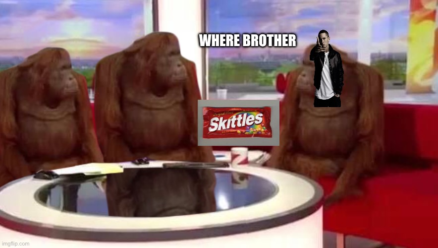 where monkey | WHERE BROTHER | image tagged in where monkey | made w/ Imgflip meme maker