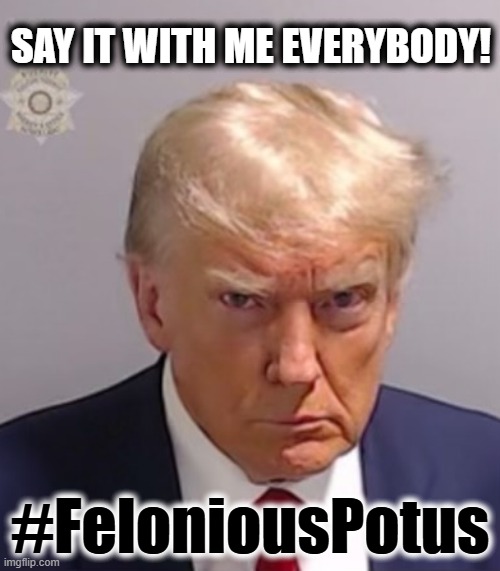 Donald Trump Mugshot | SAY IT WITH ME EVERYBODY! #FeloniousPotus | image tagged in donald trump mugshot | made w/ Imgflip meme maker