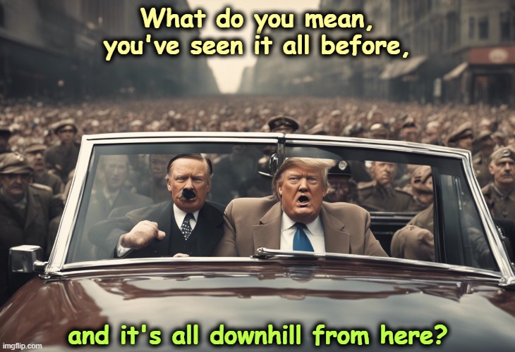 What do you mean, you've seen it all before, and it's all downhill from here? | image tagged in trump,dictator,hitler,down,end,disaster | made w/ Imgflip meme maker