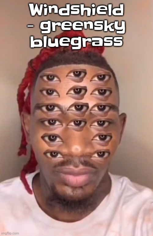 Think ts a game | Windshield - greensky bluegrass | image tagged in think ts a game | made w/ Imgflip meme maker