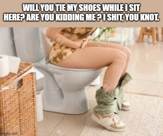 I'll sit on the toilet while you tie my shoes.... I shit. You knot.  - funny - | WILL YOU TIE MY SHOES WHILE I SIT HERE? ARE YOU KIDDING ME ? I SHIT, YOU KNOT. | image tagged in funny,fun,play on words,toilet humor,humor | made w/ Imgflip meme maker