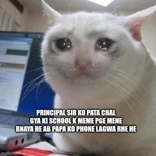 Crying cat | PRINCIPAL SIR KO PATA CHAL GYA KI SCHOOL K MEME PGE MENE BNAYA HE AB PAPA KO PHONE LAGWA RHE HE | image tagged in crying cat | made w/ Imgflip meme maker