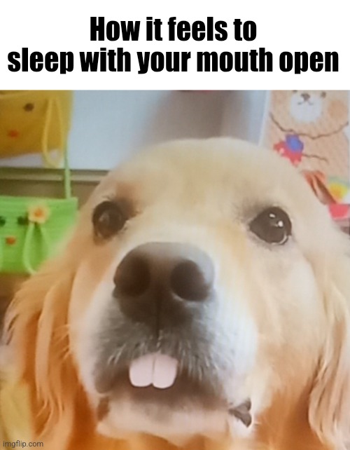 Mouth | How it feels to sleep with your mouth open | image tagged in memes | made w/ Imgflip meme maker