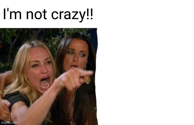 Woman Yelling At Cat | I'm not crazy!! | image tagged in memes,woman yelling at cat | made w/ Imgflip meme maker