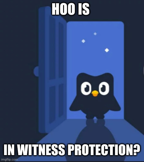 Theory One | HOO IS; IN WITNESS PROTECTION? | image tagged in duolingo bird,memes,witness protection,deep state,gotta go fast,remember me | made w/ Imgflip meme maker