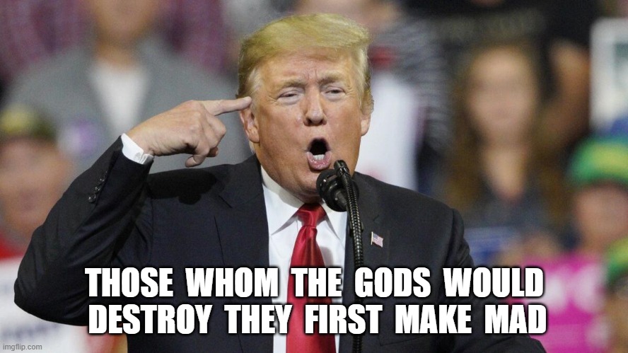 Half Way There | THOSE  WHOM  THE  GODS  WOULD  DESTROY  THEY  FIRST  MAKE  MAD | image tagged in donald trump | made w/ Imgflip meme maker