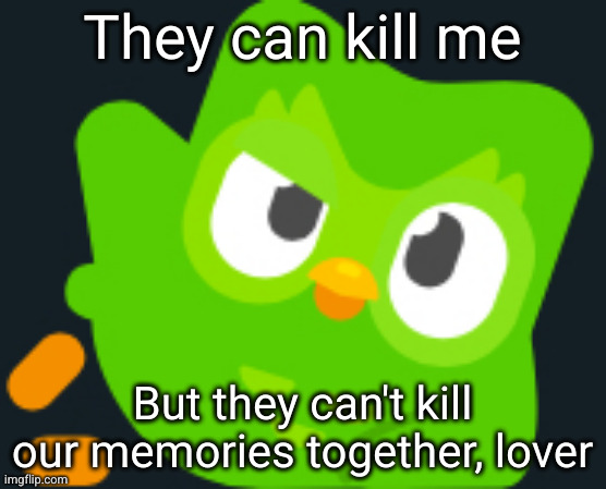 We learned to love learning | They can kill me; But they can't kill our memories together, lover | image tagged in duo rizz,memes,duolingo,happy valentine's day,mascot murder,memories | made w/ Imgflip meme maker