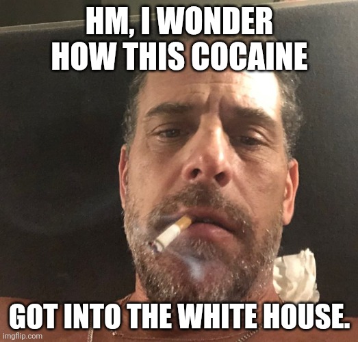 Hunter Biden | HM, I WONDER HOW THIS COCAINE GOT INTO THE WHITE HOUSE. | image tagged in hunter biden | made w/ Imgflip meme maker