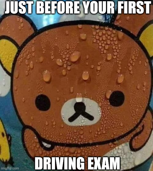 Bear sweating nervously | JUST BEFORE YOUR FIRST; DRIVING EXAM | image tagged in bear sweating nervously | made w/ Imgflip meme maker