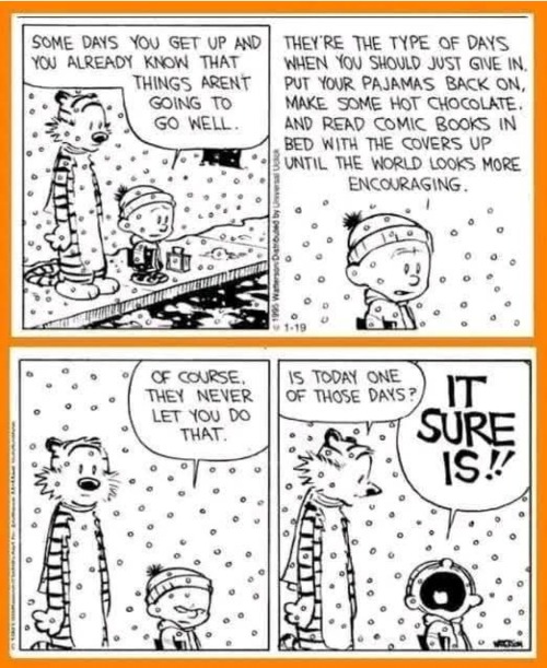 It Began in Childhood | image tagged in calvin and hobbes,snow day | made w/ Imgflip meme maker