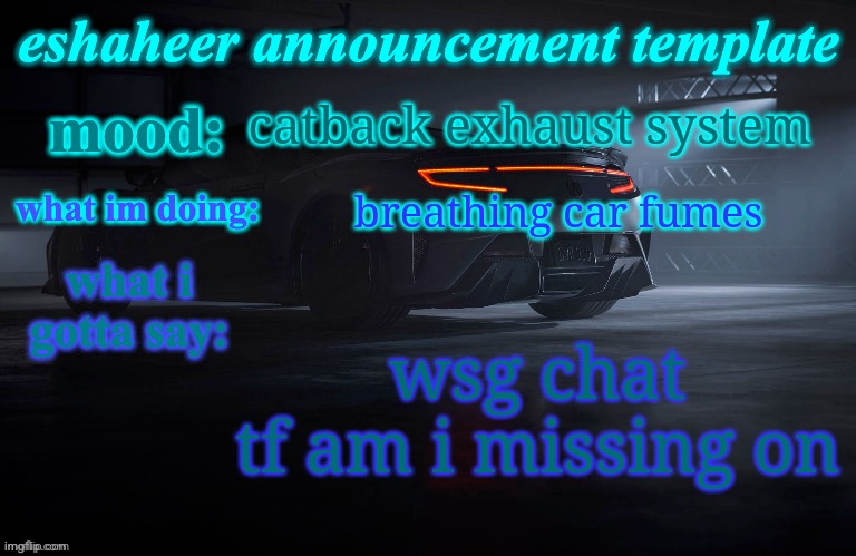 eshaheer announcement template | catback exhaust system; breathing car fumes; wsg chat
tf am i missing on | image tagged in eshaheer announcement template | made w/ Imgflip meme maker