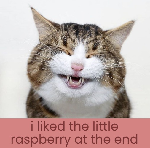 i liked the little raspberry at the end | made w/ Imgflip meme maker