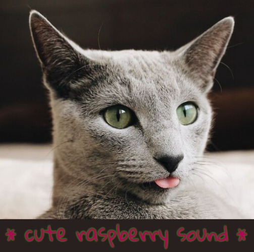 * cute raspberry sound * | made w/ Imgflip meme maker