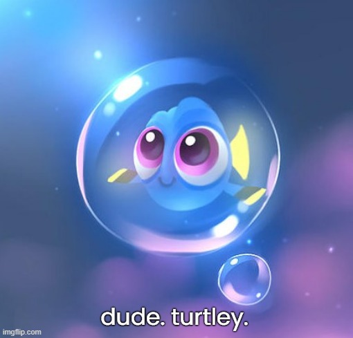 dude. turtley. | made w/ Imgflip meme maker