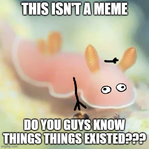 bunny slugs | THIS ISN'T A MEME; DO YOU GUYS KNOW THINGS THINGS EXISTED??? | image tagged in cute,animals,bunny,question | made w/ Imgflip meme maker