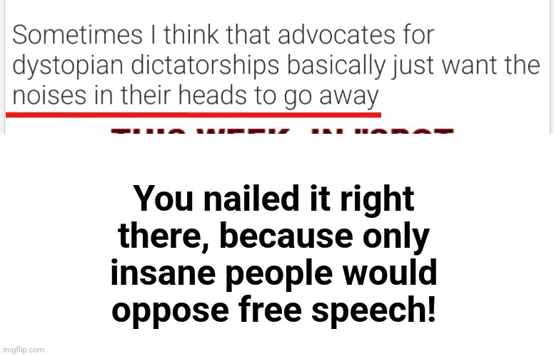 You nailed it right
there, because only
insane people would
oppose free speech! | image tagged in blank white template | made w/ Imgflip meme maker