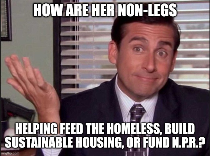 Michael Scott | HOW ARE HER NON-LEGS HELPING FEED THE HOMELESS, BUILD SUSTAINABLE HOUSING, OR FUND N.P.R.? | image tagged in michael scott | made w/ Imgflip meme maker