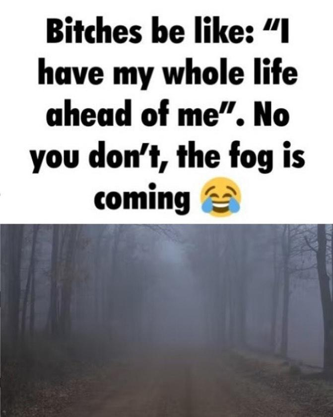 I have my whole life ahead of me no you dont fog is coming Blank Meme Template