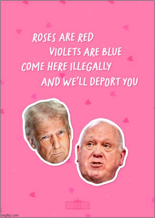 Not The Valentines Card You Want To Receive ! | image tagged in illegal immigration,valentines card | made w/ Imgflip meme maker