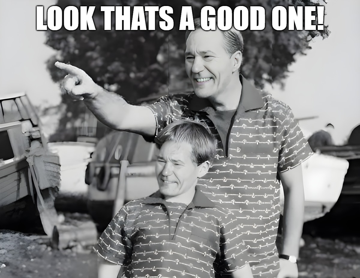 look | LOOK THATS A GOOD ONE! | image tagged in look | made w/ Imgflip meme maker