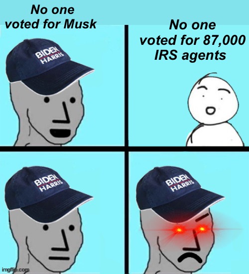 Facts | No one voted for 87,000 IRS agents; No one voted for Musk | image tagged in blue hat npc,politics lol,memes | made w/ Imgflip meme maker