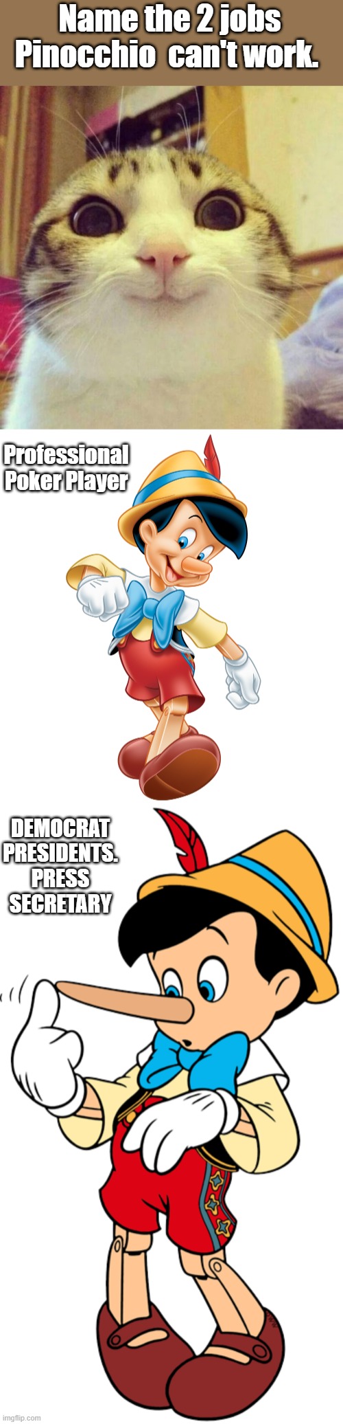 Name the 2 jobs Pinocchio  can't work. Professional Poker Player; DEMOCRAT PRESIDENTS. PRESS SECRETARY | image tagged in memes,smiling cat | made w/ Imgflip meme maker