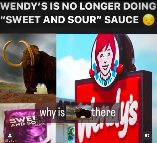 Wendy’s | image tagged in gifs,memes,funny,shitpost,wendys,msmg | made w/ Imgflip meme maker