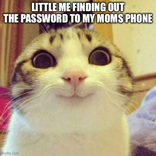 Smiling Cat | LITTLE ME FINDING OUT THE PASSWORD TO MY MOMS PHONE | image tagged in memes,smiling cat | made w/ Imgflip meme maker