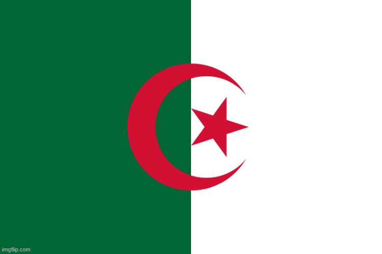 i love algeria | image tagged in algeria flag | made w/ Imgflip meme maker