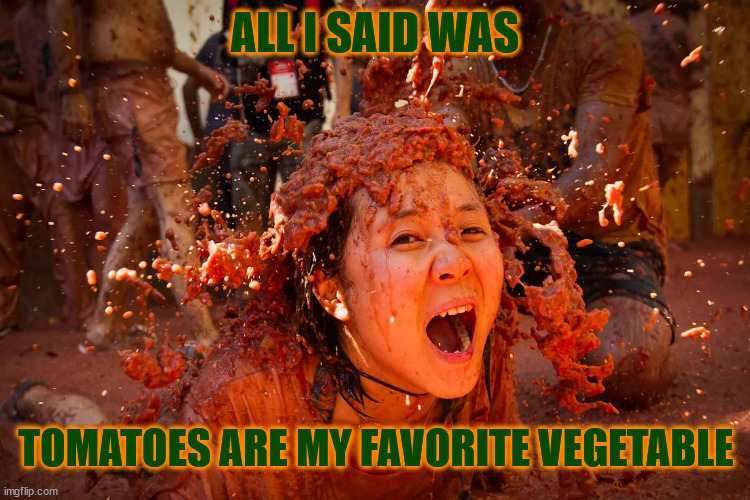 I literally feel like spaghetti | ALL I SAID WAS; TOMATOES ARE MY FAVORITE VEGETABLE | image tagged in tomato,festival,fruit,food fight,spain,tourism | made w/ Imgflip meme maker