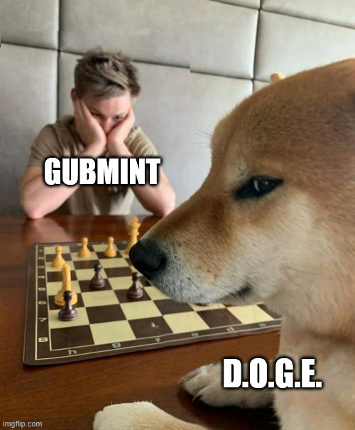 gubmint | GUBMINT; D.O.G.E. | image tagged in chess doge,doge,dogecoin,musk | made w/ Imgflip meme maker