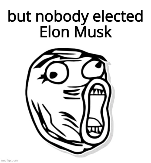 Triggered Much? | but nobody elected
Elon Musk | image tagged in derp,triggered liberal,liberals | made w/ Imgflip meme maker