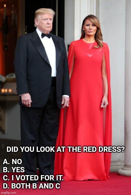 MELANIA red dress | DID YOU LOOK AT THE RED DRESS? A. NO
B. YES
C. I VOTED FOR IT.
D. BOTH B AND C | image tagged in melania red dress | made w/ Imgflip meme maker