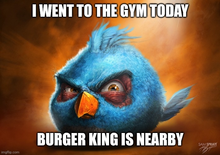 Fat people problems | I WENT TO THE GYM TODAY; BURGER KING IS NEARBY | image tagged in angry birds blue | made w/ Imgflip meme maker