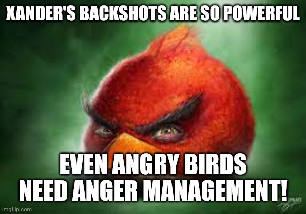 realistic angry birds | XANDER'S BACKSHOTS ARE SO POWERFUL; EVEN ANGRY BIRDS NEED ANGER MANAGEMENT! | image tagged in realistic angry birds | made w/ Imgflip meme maker