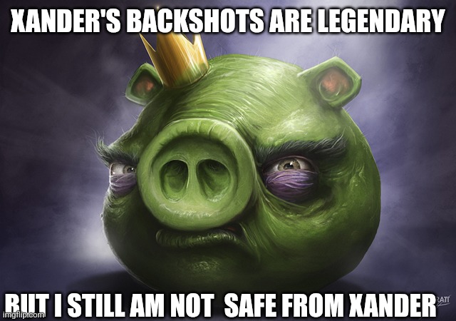 Angry Birds Realistic King Pig | XANDER'S BACKSHOTS ARE LEGENDARY; BUT I STILL AM NOT  SAFE FROM XANDER | image tagged in angry birds realistic king pig | made w/ Imgflip meme maker