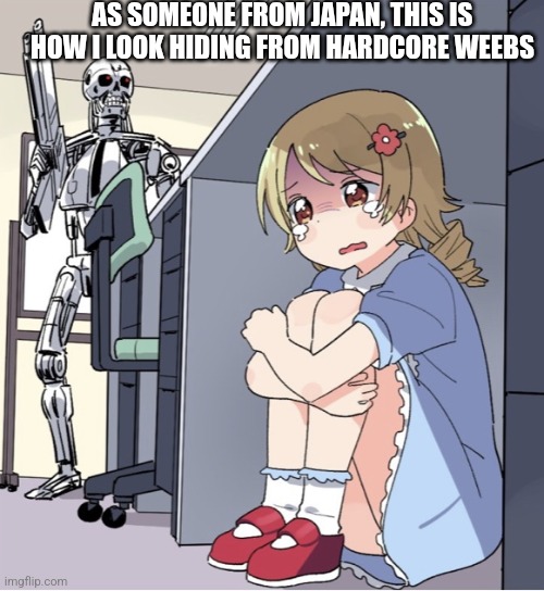 obv no offense, anime is awesome but sometimes people take japanese girls too far a bit | AS SOMEONE FROM JAPAN, THIS IS HOW I LOOK HIDING FROM HARDCORE WEEBS | image tagged in anime girl hiding from terminator | made w/ Imgflip meme maker