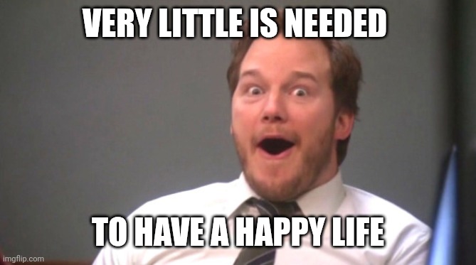 Happy Life | VERY LITTLE IS NEEDED; TO HAVE A HAPPY LIFE | image tagged in chris pratt happy,funny memes | made w/ Imgflip meme maker