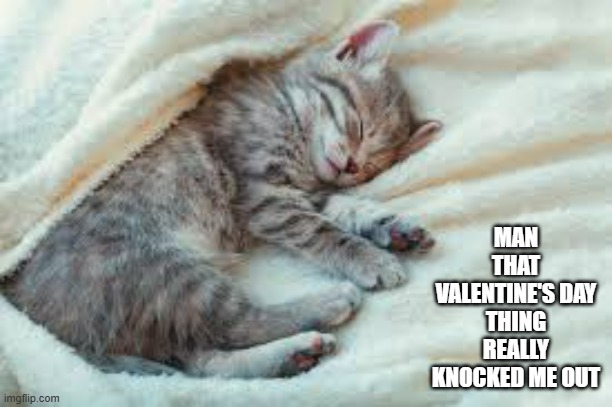 memes by Brad - Valentines Day is harder than this cat thought - humor - | MAN THAT VALENTINE'S DAY THING REALLY KNOCKED ME OUT | image tagged in humor,cats,valentine's day,kitten,funny,tired cat | made w/ Imgflip meme maker