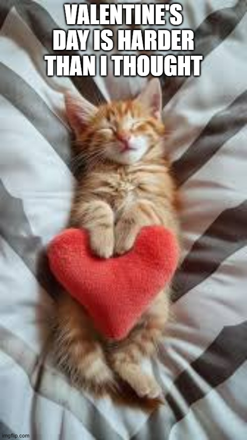 memes by Brad - Valentines Day is harder than this cat thought - humor - | VALENTINE'S DAY IS HARDER THAN I THOUGHT | image tagged in valentine's day,cats,funny,kitten,humor,tired cat | made w/ Imgflip meme maker