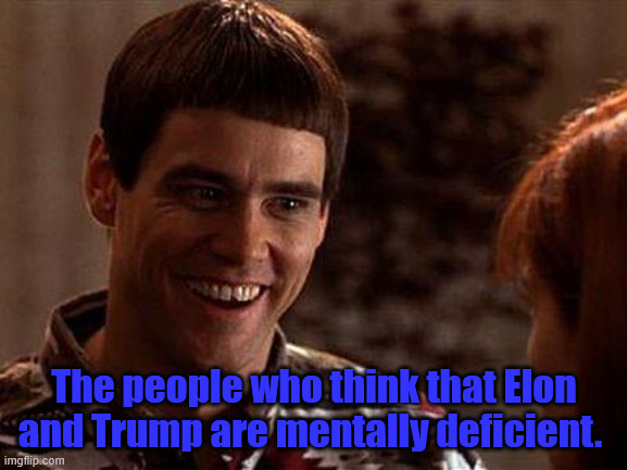 Dumb Dummies | The people who think that Elon and Trump are mentally deficient. | image tagged in dumb and dumber | made w/ Imgflip meme maker