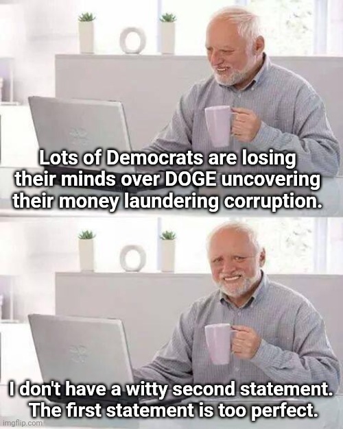 Hide the Pain Harold | Lots of Democrats are losing their minds over DOGE uncovering their money laundering corruption. I don't have a witty second statement.  The first statement is too perfect. | image tagged in memes,hide the pain harold | made w/ Imgflip meme maker