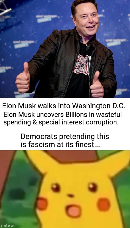 Elon Musk walks into Washington D.C. Elon Musk uncovers Billions in wasteful spending & special interest corruption. Democrats pretending this is fascism at its finest... | image tagged in elon musk nice,memes,surprised pikachu | made w/ Imgflip meme maker