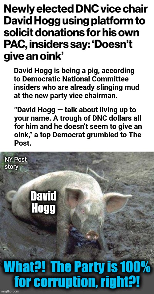 He has a point: it's all corruption, all the time | David Hogg is being a pig, according
to Democratic National Committee
insiders who are already slinging mud
at the new party vice chairman. “David Hogg — talk about living up to
your name. A trough of DNC dollars all
for him and he doesn’t seem to give an
oink,” a top Democrat grumbled to The
Post. NY Post
story; David
Hogg; What?!  The Party is 100%
for corruption, right?! | image tagged in pig in mud,memes,david hogg,democrats,corruption,political action committee | made w/ Imgflip meme maker