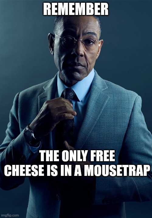 Gus Fring we are not the same | REMEMBER; THE ONLY FREE CHEESE IS IN A MOUSETRAP | image tagged in gus fring we are not the same | made w/ Imgflip meme maker