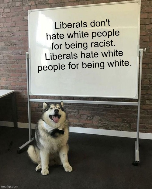 Racism against white people is still racism. | Liberals don't hate white people for being racist. Liberals hate white people for being white. | image tagged in how to be a good boy,liberal hypocrisy,democrats,racism | made w/ Imgflip meme maker