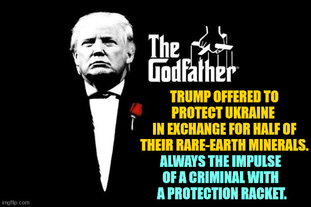 Trump Mafia crime boss Godfather | TRUMP OFFERED TO PROTECT UKRAINE 
IN EXCHANGE FOR HALF OF THEIR RARE-EARTH MINERALS. ALWAYS THE IMPULSE 
OF A CRIMINAL WITH 
A PROTECTION RACKET. | image tagged in trump mafia crime boss godfather,trump,criminal,protection,ukraine | made w/ Imgflip meme maker