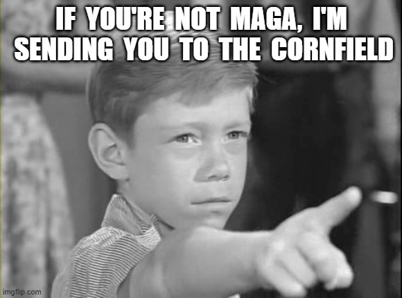 Make America Corny Again | IF  YOU'RE  NOT  MAGA,  I'M  SENDING  YOU  TO  THE  CORNFIELD | image tagged in maga | made w/ Imgflip meme maker